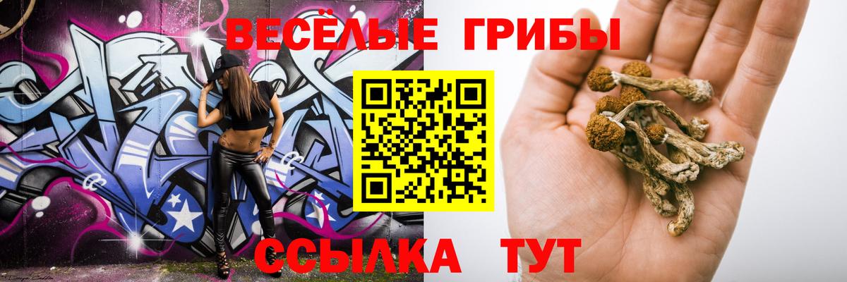 Лениногорск  Галлюциногенные грибы прущие грибы  Вход с VPN 