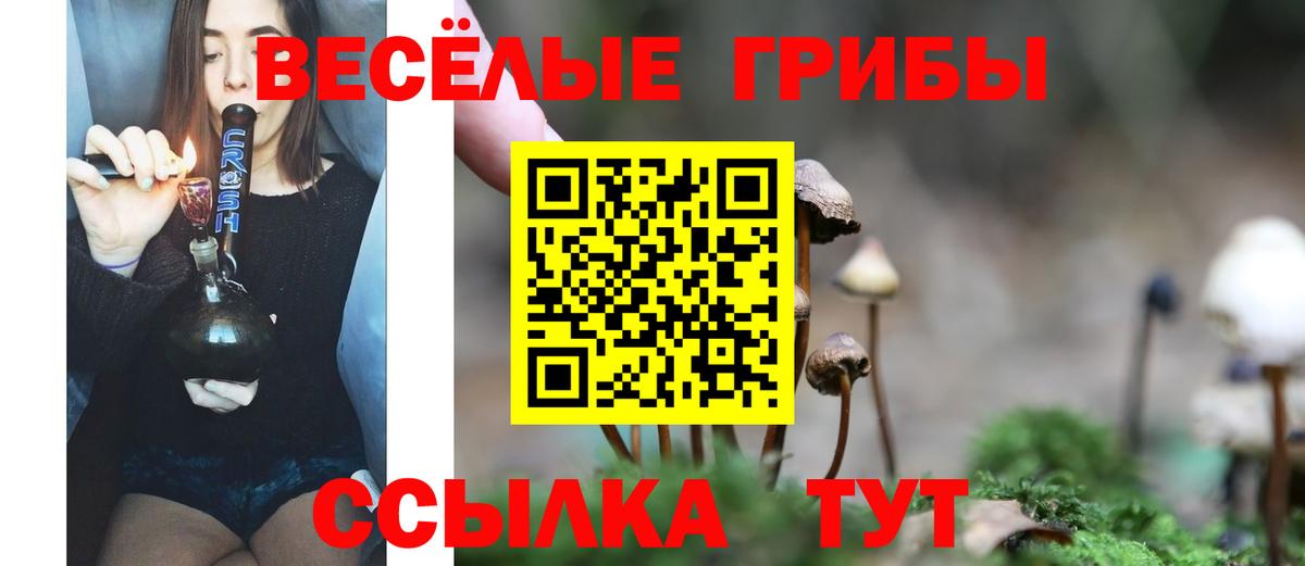 Галлюциногенные грибы Psilocybine cubensis Лениногорск